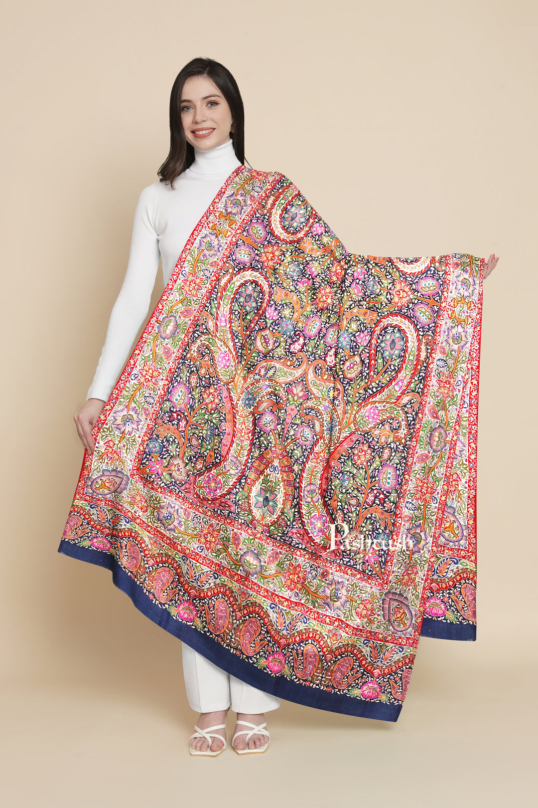 Pashtush Womens Pashmina Shawl, Hand Painted, Hand Embroidered, Handloom Woven Shawl, Multicoloured